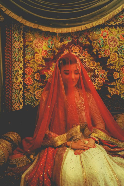 Photographer: Unknown 